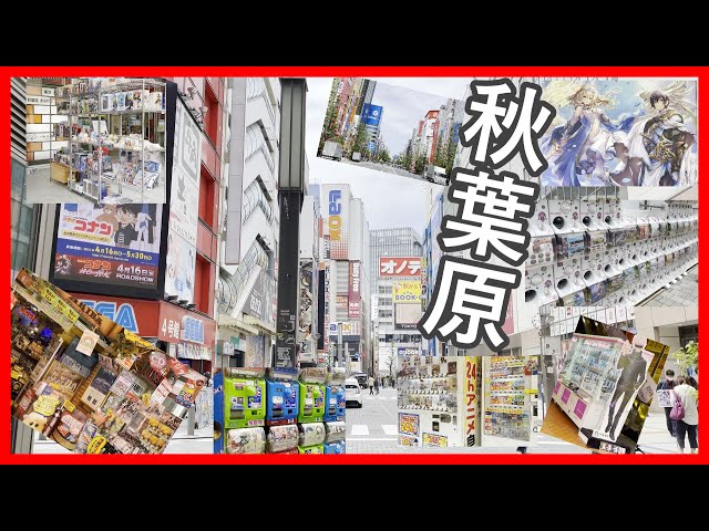 秋葉原 散歩 メイド 通り 電気街散歩 連休明けの今日の様子 2021.5.6 | Akihabara maid street  walk