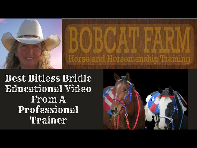 Best Bitless Bridle Educational Video From A Professional Trainer