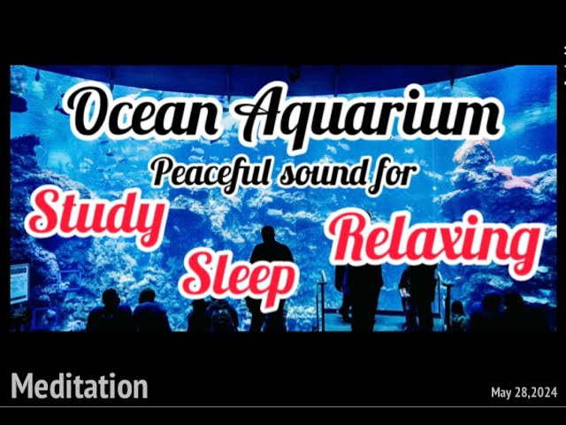 Ocean Aquarium | Underwater Ambience with Peaceful Music for Study, Sleep, and Relaxing #meditation