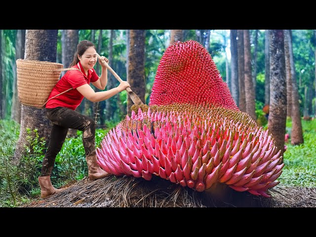 WOMAN Harvesting Giant Red Beast Yam & Go to Market Sell | can only be found in the ANACONDA forest