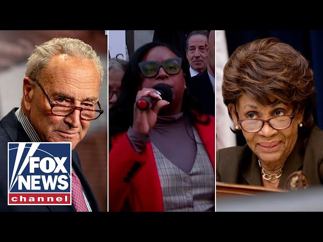 'WE'RE AT WAR!': Hosts react to Dems' meltdown over Elon Musk's DOGE operation