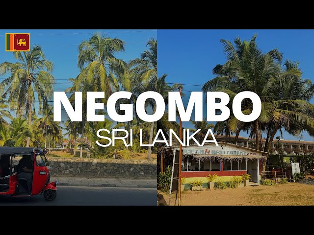 NEGOMBO, SRI LANKA: 8 days in paradise staying at Negombo Beach | where to eat, what to see and do