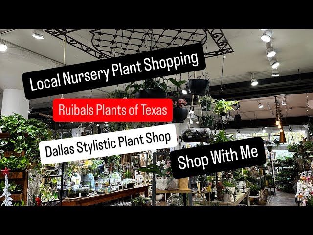 Big Box Store Plant Shopping Alternative Shop Local Plant Shop Ruibal's Plants of Texas Dallas Texas