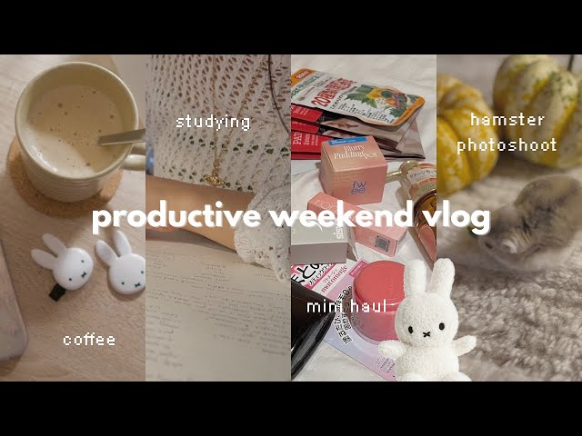 introvert diaries 🫧 productive realistic weekend @ home, morning routine, studying, yesstyle haul