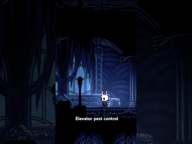 Hollow Knight - Funny Moment! :P #hollowknight #silksong #gameplay #ps5