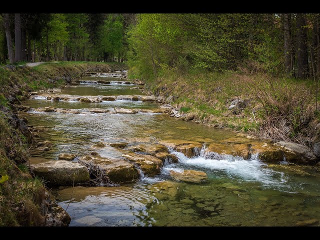 🔊 RELAJANTE 🎼 Música de Sonidos de 🌊 Agua y Piano 🎹| 🧘‍ MEDITACIÓN, Relajación [☮️ PAZ TOTAL # 1] ✔️