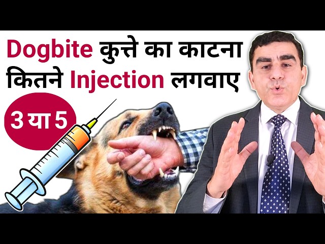 कुत्ता काटने के बाद इंजेक्शन लगाने का सही समय | Dog Bite Rabies Injection | Rabies Vaccination