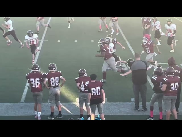 CJ HEARD#25 Football Highlights: Boardman Spartans