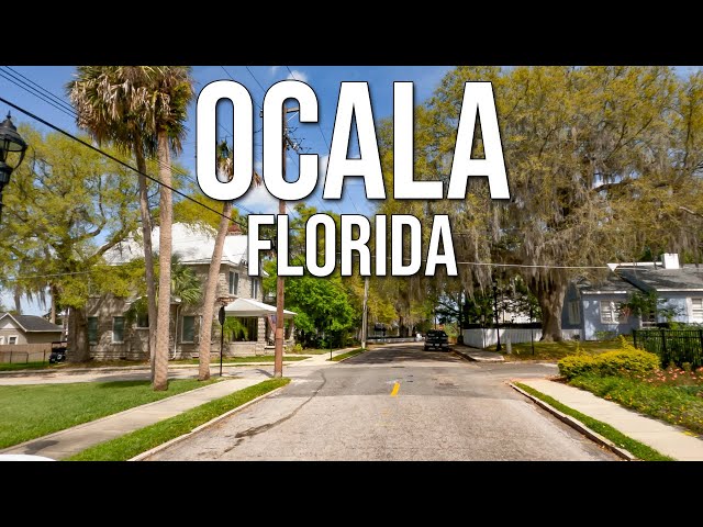 What It's REALLY Like To Live In Ocala Florida? Pros And Cons Of Ocala