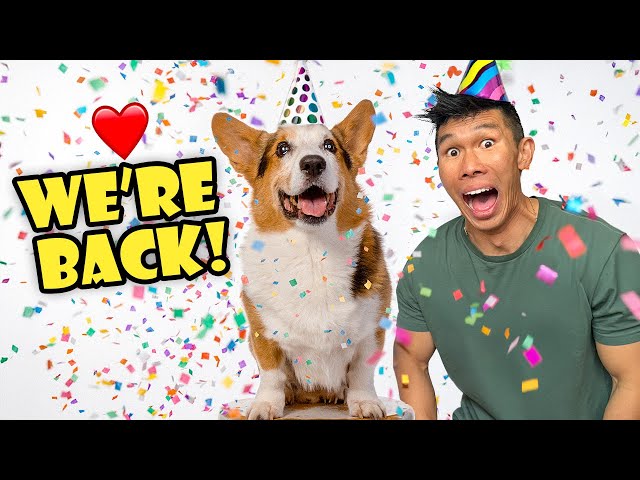 My CORGI Turns 11! I Give Him The Best Day Ever! || Life After College: Ep. 785