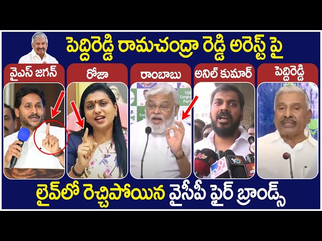 YCP Fire Brands Mass Reaction On Peddireddy Ramachandra Reddy Arrest | Pawan Kalyan | Chandrababu