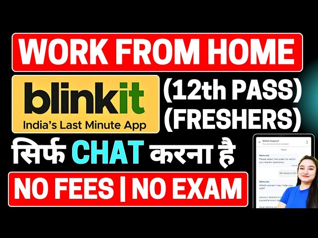 Work From Home Jobs 2025 | Blinkit Chat Process Job | 12th Pass Job | Online Jobs | Chat Support Job