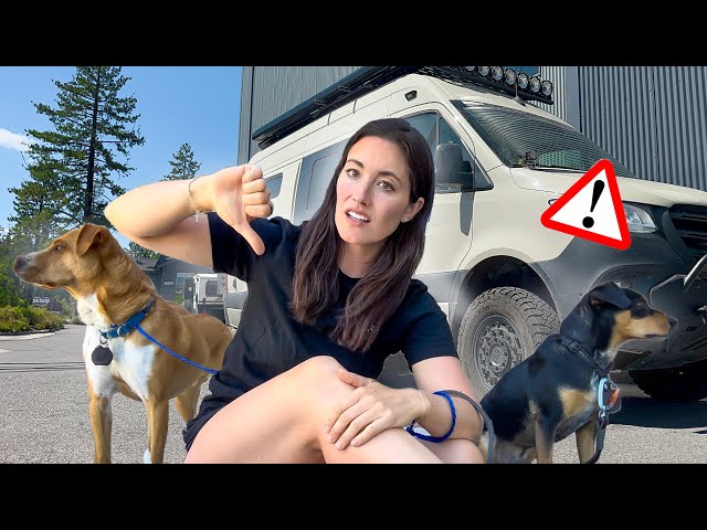 A ROUGH 48 HOURS | Emergency Medical, Lost Dog, Van Problems, Rescue ... & Silver Linings