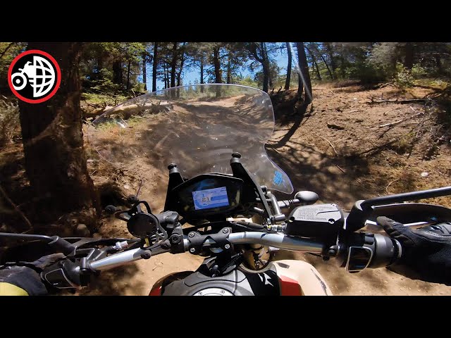 Moto Guzzi V85TT / Onboard Trail Ride / @motogeo