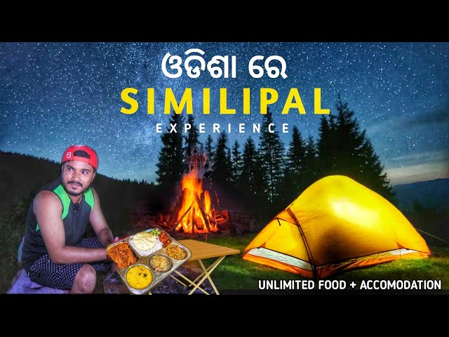 Night Camping in Similipal | Best Jungle Camping Place in Odisha | Street Food Odisha |