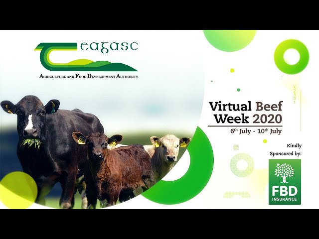 Teagasc: Virtual Beef Week Day 5