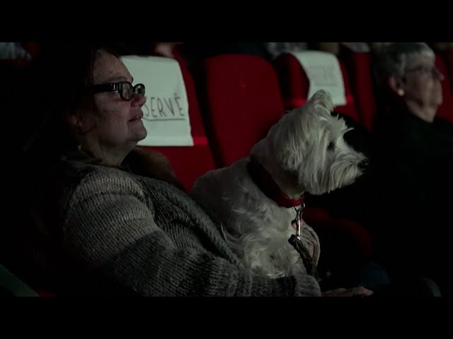 Dogs Join Humans at Theater to Watch 'Lady and the Tramp'