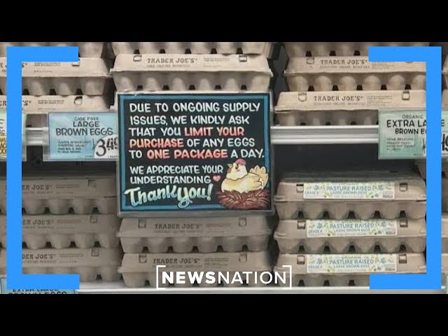 Trader Joe's issues nationwide cap of egg purchases amid shortage | Morning in America