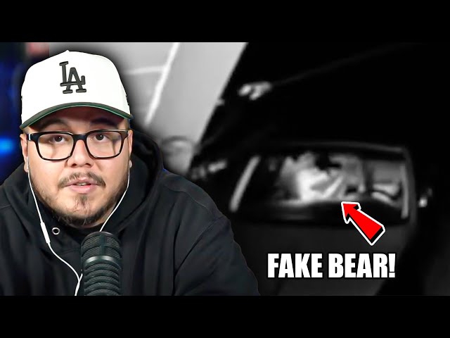 Guy dressed up as bear for fraud!