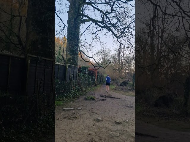 Castle Combe #hiking #trail #cotswolds #shorts #reels #nature #england #travel #fun