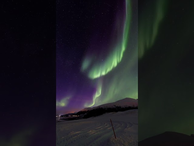 Magical Aurora・Norway 🇳🇴・My friend Petr's footage #shorts