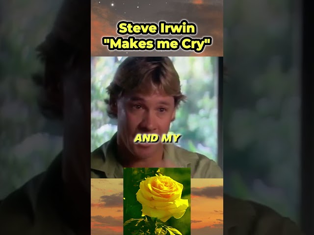 Steve Irwin Try not to Cry