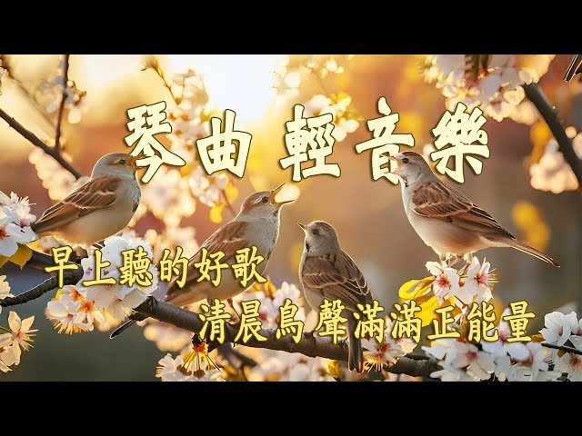 早上最適合聽的輕音樂 - 美妙的音樂 - 純鋼琴輕音樂 - 轻松的钢琴音乐