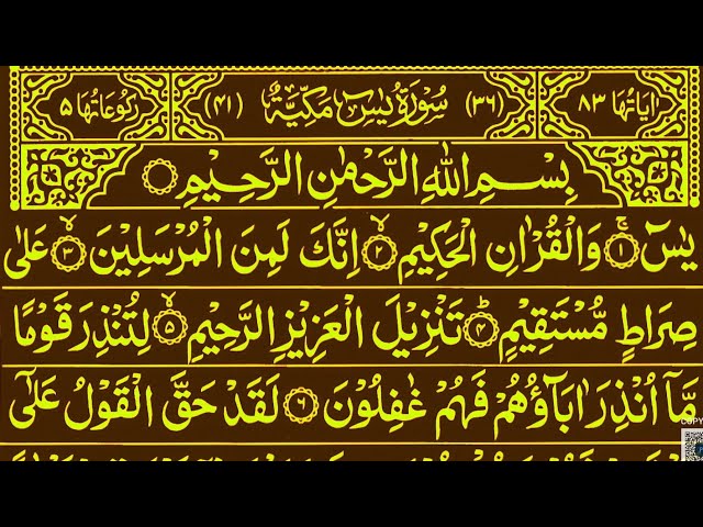 Surah Yaseen Surah Rahman || Best Qur'an Recitation Surah Mulk || Surah Yasin full Qur'an Tilawat