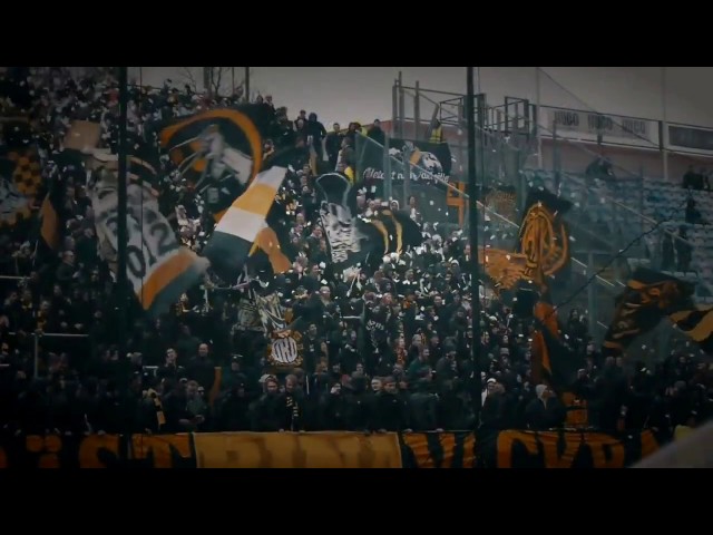 This is why we love AIK