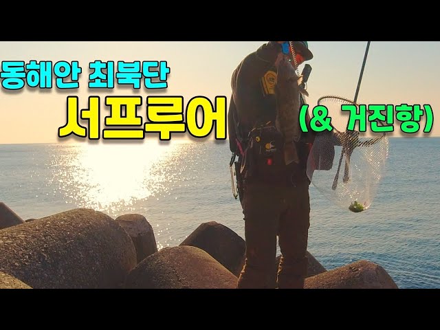 서프루어 / 거진항 광어 낚시 / 동해안 루어낚시 / 고성 서프루어 / 서프 광어 낚시