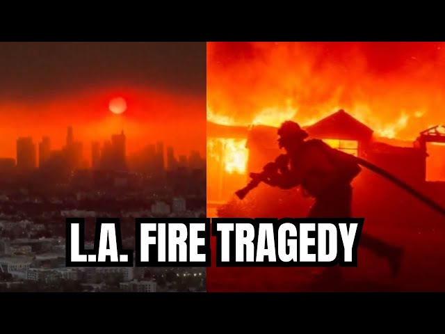 Musicians Share Heartbreaking Updates from L.A. Fire Destruction