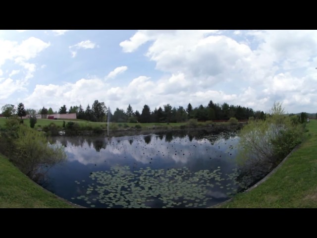 Lotus Pond at Palace of Gold, New Vrindaban, West Virginia