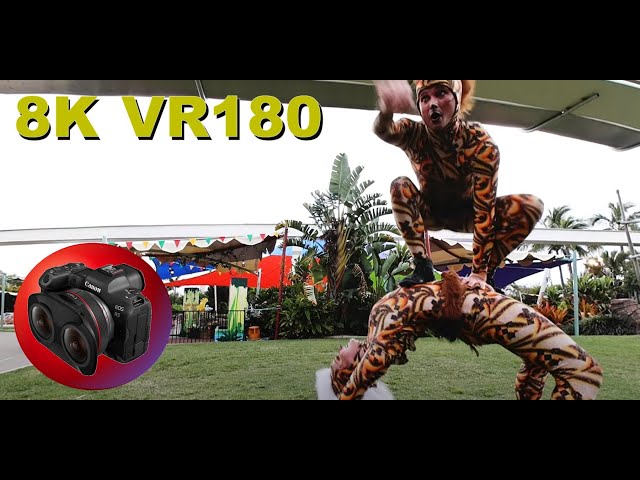 VR180 8K 3D ACROBATS!!! CARNIVALE - Africa Safari zone show - wild circus cats (Travel/Music)