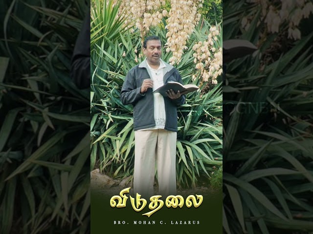 விடுதலை | Bro. Mohan C Lazarus | #walkwithjesus #shorts #mohanclazarus