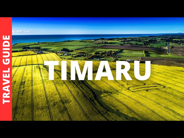 Timaru New Zealand Travel Guide: 13 BEST Things To Do In Timaru