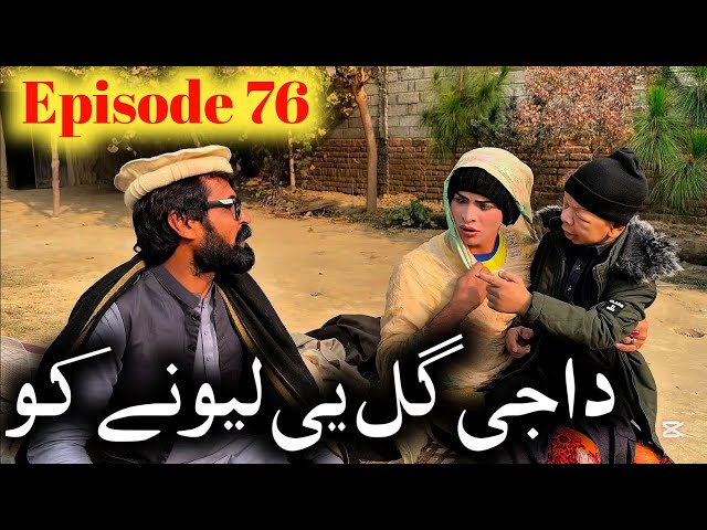 Daji Gul Ye Lewani Ko // Khpala Weena Drama Episode 76 By Charsadda Vines Director SadiqKhan 2025