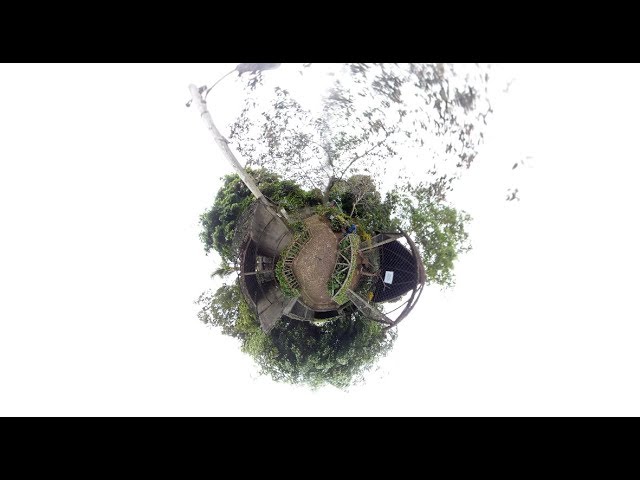 Zoológico de Nicaragua en 360º