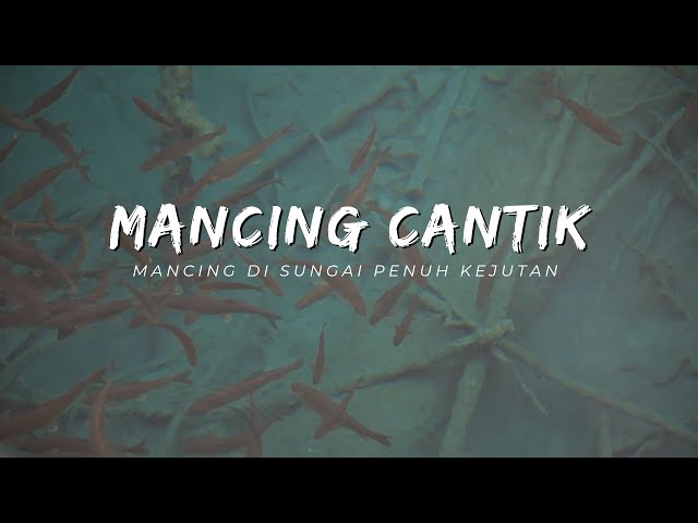 Spot mancing idaman, Mancing seru disungai || DENYS KICAU