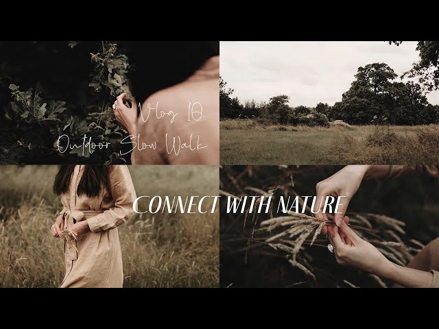 Outdoor Slow Walk | Slow Living Practice | Wild Flower | Connect With Nature | Aesthetic | Moodlia