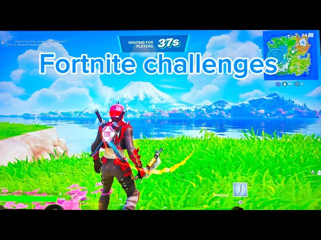 Fortnite challenges: CAN WE WIN?