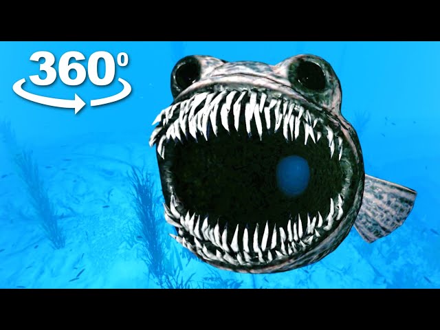 Biggest Monster Fish Jumpscare in 360° VR! (Zoonomaly)