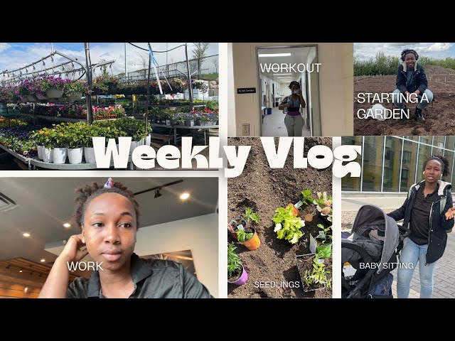 I got a PLOT of LAND in CANADA🇨🇦 ☘️| WEEKLY VLOG| Must- See Vlog!