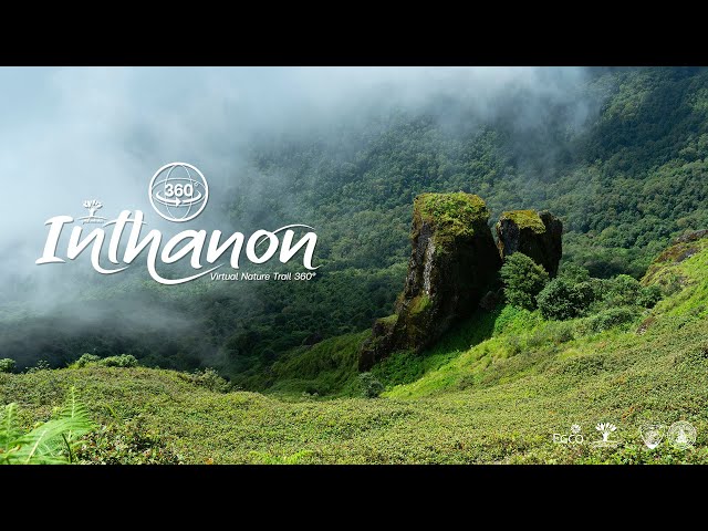 Chiang Mai Doi Inthanon Virtual 360 2K Sound Ambient