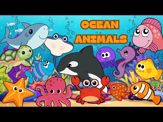 Ocean Animals | Sea Animals