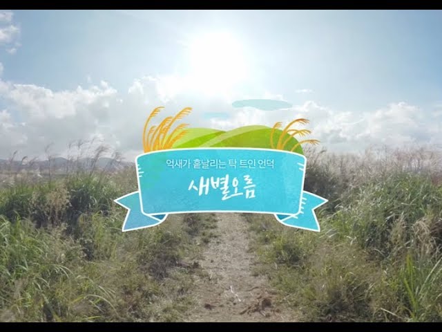 [JEJU 360 VR] 억새가 흩날리는 바람의 언덕 새별오름