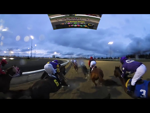 360VR HORSE RACE - MAXIMUM ENTROPHY