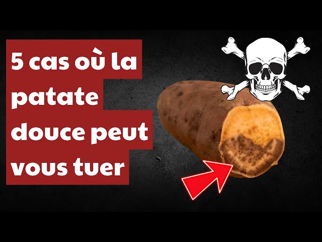 5 raisons pour lesquelles la patate douce peut être un poison pour votre corps et comment l’éviter !