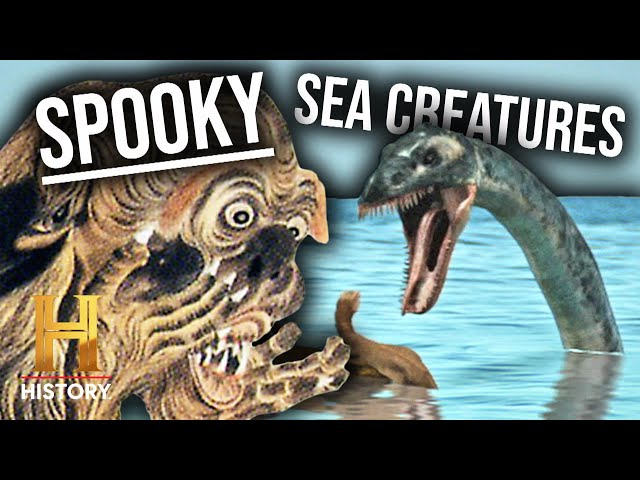 4 Shocking Sea Creature Mysteries | The Proof Is Out There