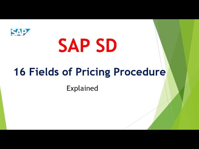 16 Fields of pricing procedure SAP SD || SAP SD Tutorials