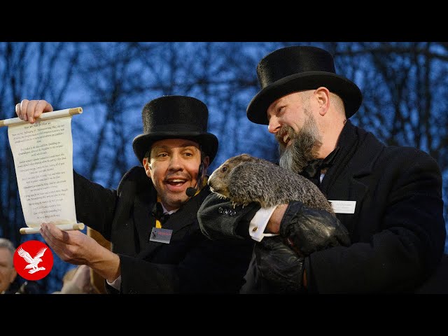 Live: Phil the groundhog makes his prediction on how long winter will last